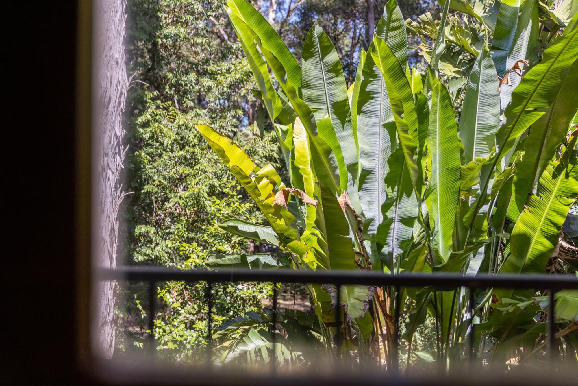 Sanctuary Resort Motor Inn Coffs Harbour Zewnętrze zdjęcie